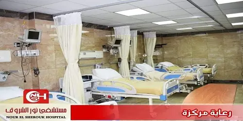 Nour El Shorouk Hospital